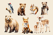 Watercolor Woodland Animals Clipart, an Animal Illustration by Primrose Blume (Thumbnail 4 of 8)