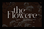 Bigrona Elegant Serif Font, a Serif Font by Graphicxell (Thumbnail 3 of 8)