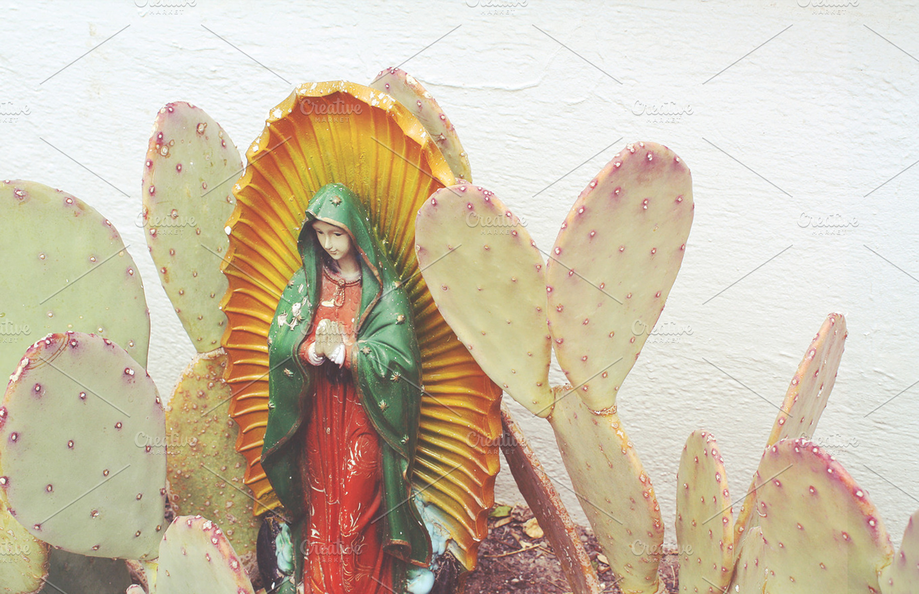Holy Mother & Cactus