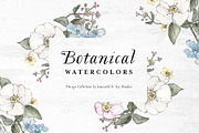 Botanical Watercolor Collection, an Illustration by Emerald & Ivy Studios (Thumbnail 1 of 12)
