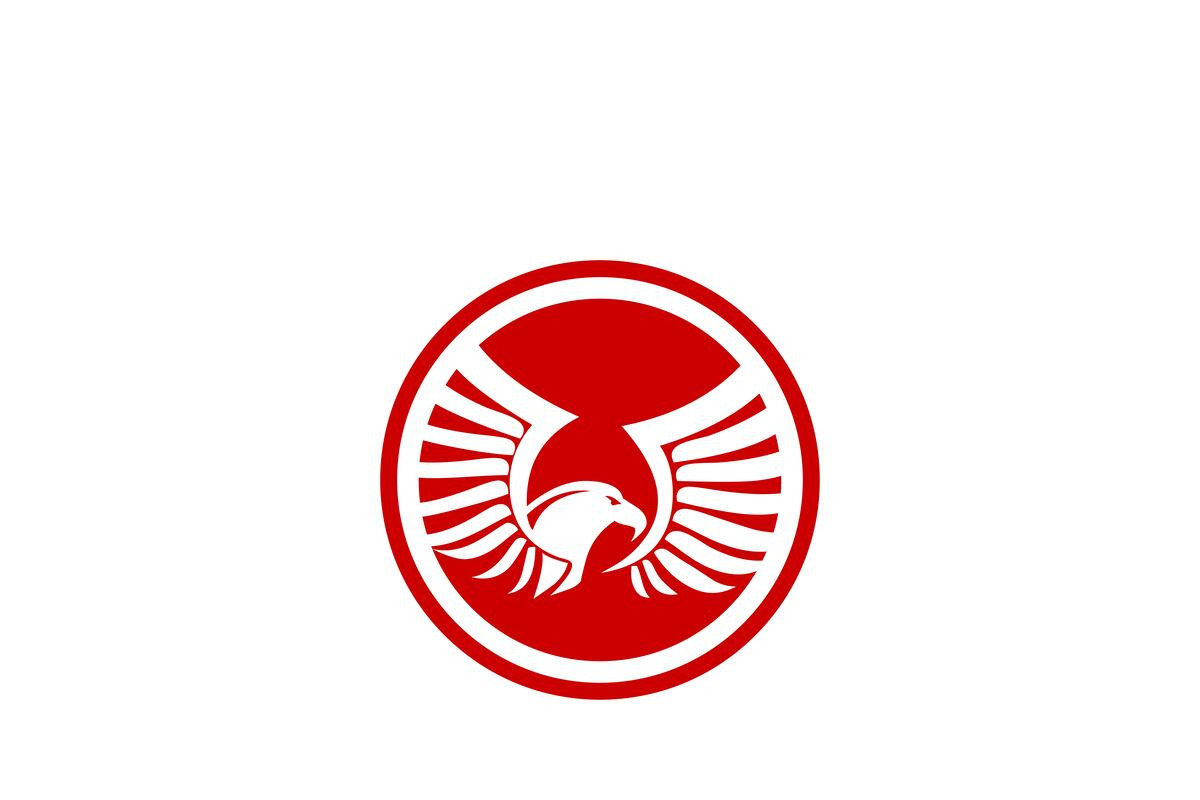 Eagle logo design, a Branding & Logo Template by xcoolee