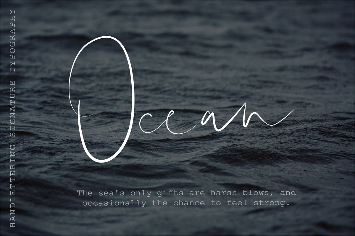 Shallou Signature Script Typeface preview 2