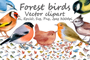 Small forest birds - vector clipart