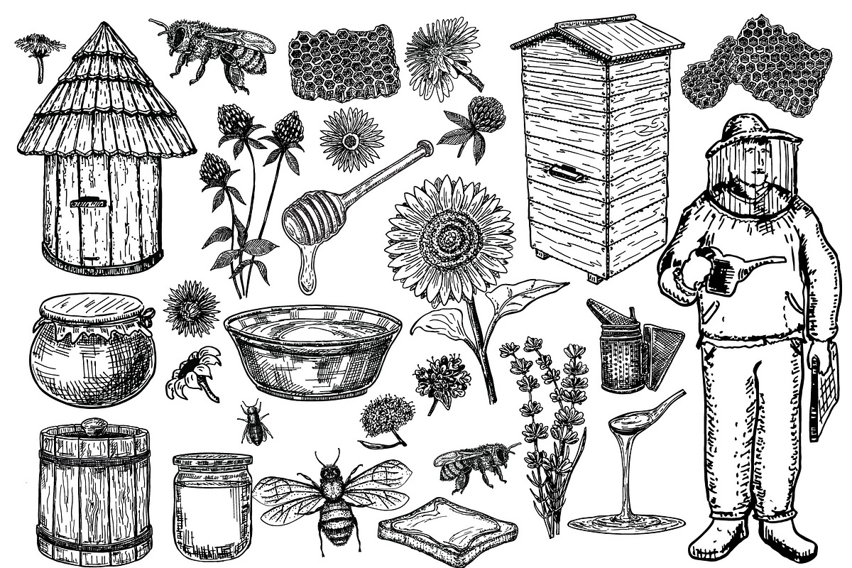 Hand drawn honey illustrations, an Illustration by Live line (Photo 2 of 5)