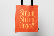 Aligner Tall Modern Serif Display, a Serif Font by timelesstype.co (Thumbnail 14 of 20)