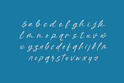 Baterty Spotteam Elegant Brush Font, a Script Font by Letterena Studios Script (Thumbnail 8 of 20)