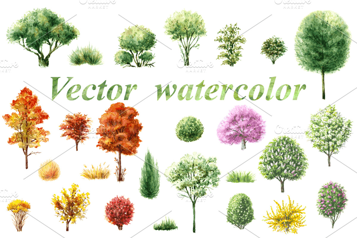 Watercolor  Trees and Bushes, a Decorative Illustration by Valentyna Smordova (Photo 5 of 6)