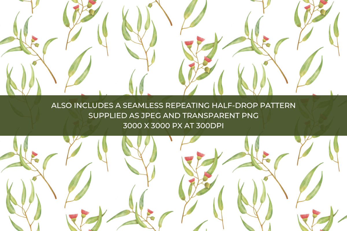 Watercolour Eucalytpus Branches, a Decorative Illustration by Fern & Quill (Photo 3 of 5)