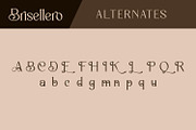 Brisellero, a Serif Font by Rishsketch (Thumbnail 12 of 14)