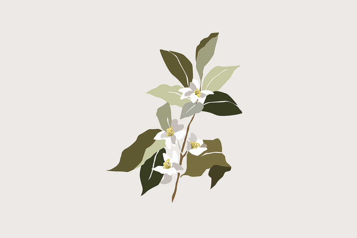 Orange tree flower bloom., a Decorative Illustration by akovtun