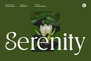 CS Augusta Drawn, a Serif Font by Craft Supply Co. (Thumbnail 6 of 8)