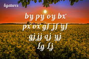 Switzerland, a Script Font by Funtype (Thumbnail 10 of 14)