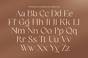 LOOK - Modern Elegant Logo Font, a Serif Font by Sensatype (Thumbnail 11 of 13)