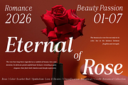 Vioneta Sloane – Serif Font, a Serif Font by roomspace creative lab (Thumbnail 7 of 14)