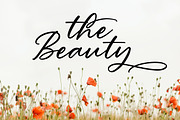South Highland-Beautiful Script Font, a Script Font by AQR Studio (Thumbnail 1 of 7)