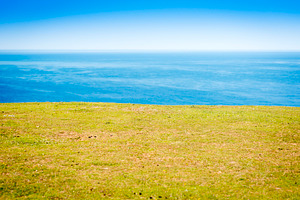 Field Sky, a Nature Photo by THP Creative