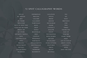 Calligraphy Vectors: Website Words