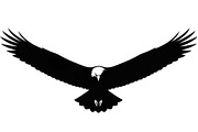50 Flying Eagle Silhouette Vector Bu, an Illustration by Designs_River (Thumbnail 45 of 51)
