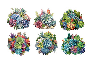 Succulents Arrangements Clipart