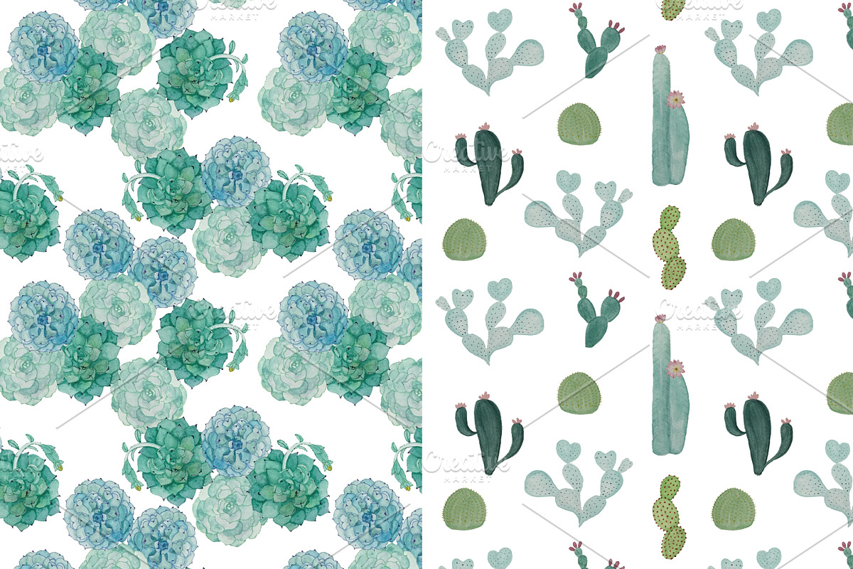 Watercolor Cacti & Succulent 4 pack, an Illustration by Valeri Nick (Photo 6 of 6)