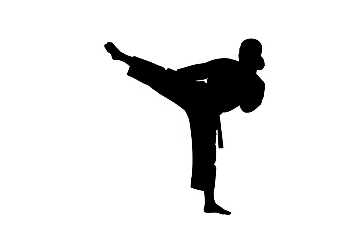 Dynamic martial arts kick silhouette, an Illustration by Amazin_art (Photo 6 of 36)