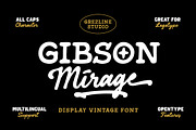 Gibson Mirage – Vintage Font, a Handwritten Font by Grezline Studio (Thumbnail 1 of 11)