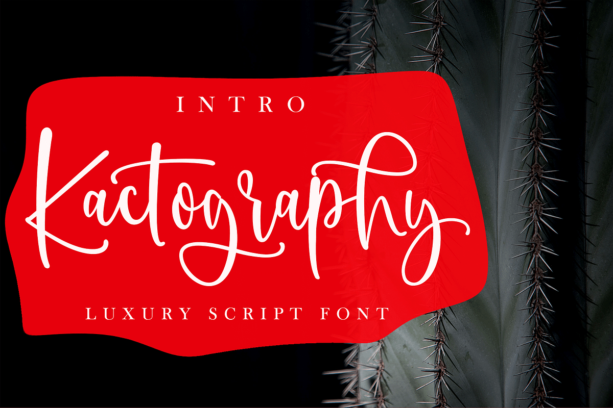 Kactography Calligraphy, a Script Font by Meutuwah (Photo 1 of 8)