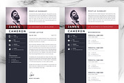 JOB WINNING RESUME - 50 TEMPLATES, a Resume Template by ResumeInventor (Thumbnail 160 of 184)