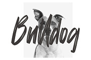 Mattolla - Handbrush Script Font, a Script Font by skiiller studio (Thumbnail 2 of 8)