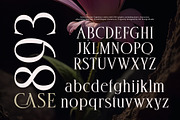 Deloca Moreys Typeface, a Serif Font by alit design (Thumbnail 2 of 20)