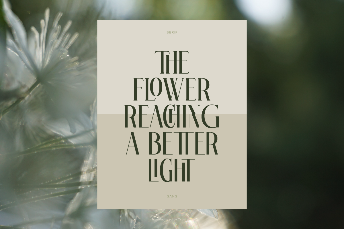 TRT Glanore Elegant Serif Sans Duo, a Sans Serif Font by truetype (Photo 6 of 15)