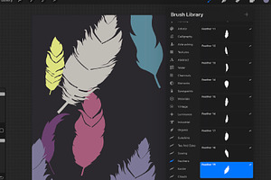 Feathers Stamp Brush For Procreate