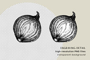 BUNDLE - Vegetables & Mushrooms, a Food Illustration by Yevheniia (Thumbnail 9 of 10)