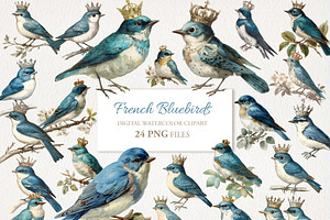 French Bluebirds Clipart 24 PNG