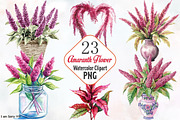Amaranth Flower Watercolor Clipart's, an Illustration by RobertsArt (Thumbnail 1 of 7)