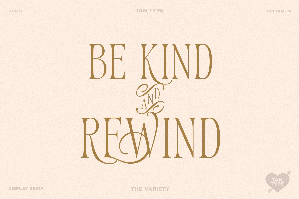 TAN - Variety, a Serif Font by TanType (Photo 3 of 26)