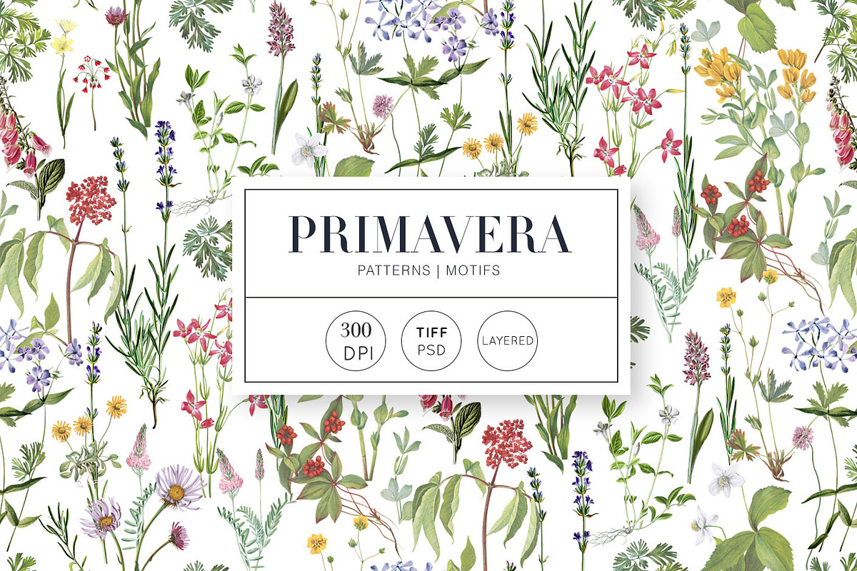Primavera, Spring is here!, a Pattern Graphic by TSTUDIO (Photo 1 of 17)