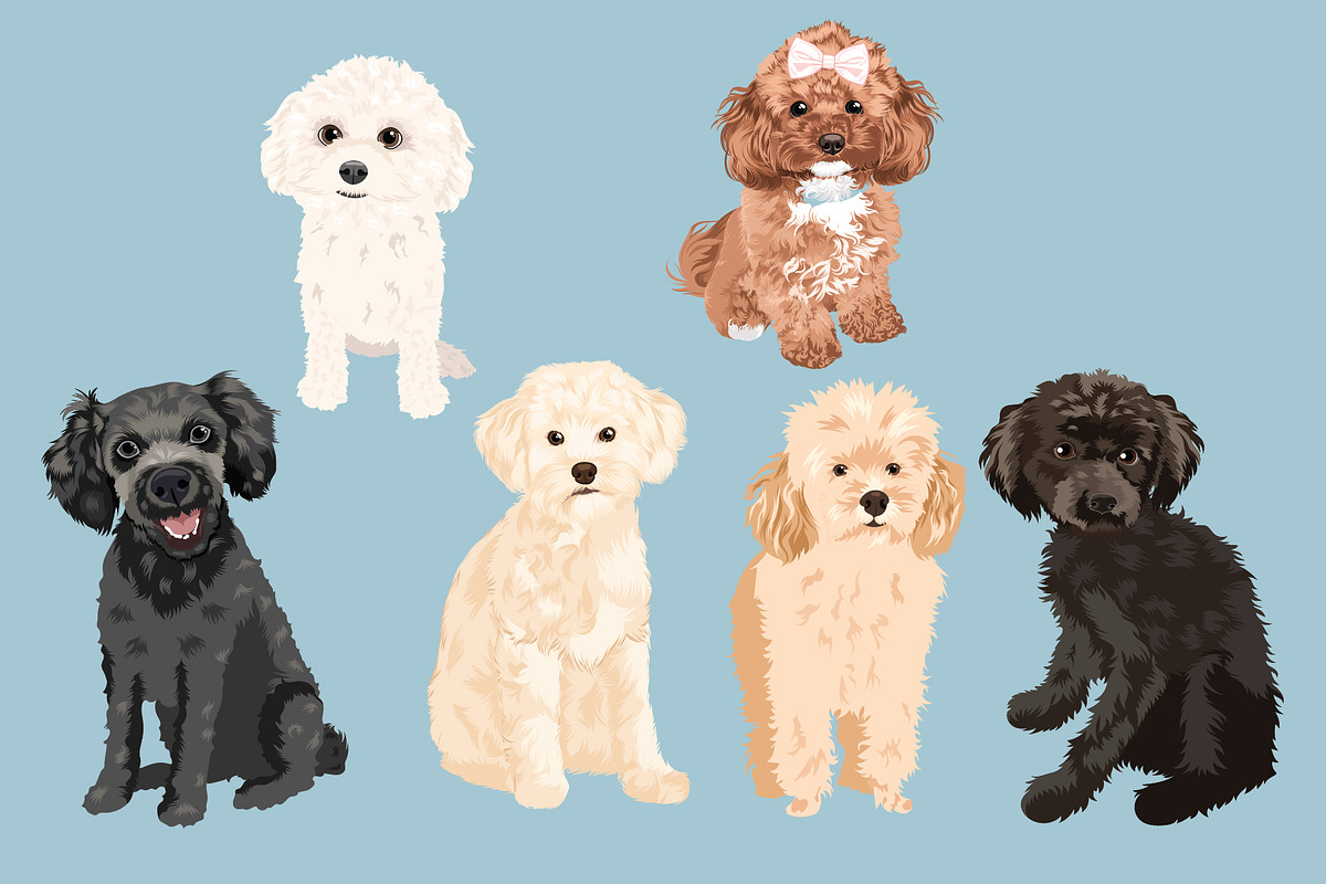 Poodle Clip Art Vector Bundle, an Illustration by Putnam Road Art (Photo 4 of 4)