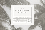 Palmetto, a Script Font by Bruised Goods (Thumbnail 7 of 12)
