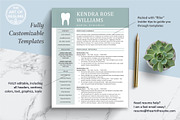 Dental Hygienist Resume | Dentist CV, a Resume Template by The Art of Resume (Thumbnail 4 of 8)