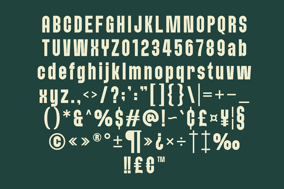 Braked - A Family Sans Condensed, a Sans Serif Font by Marvadesign (Photo 5 of 8)