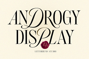 Androgy Display, a Serif Font by Letterhend Studio