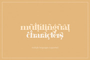 Literacy Serif Font, a Serif Font by Salt & Pepper Designs (Thumbnail 8 of 11)