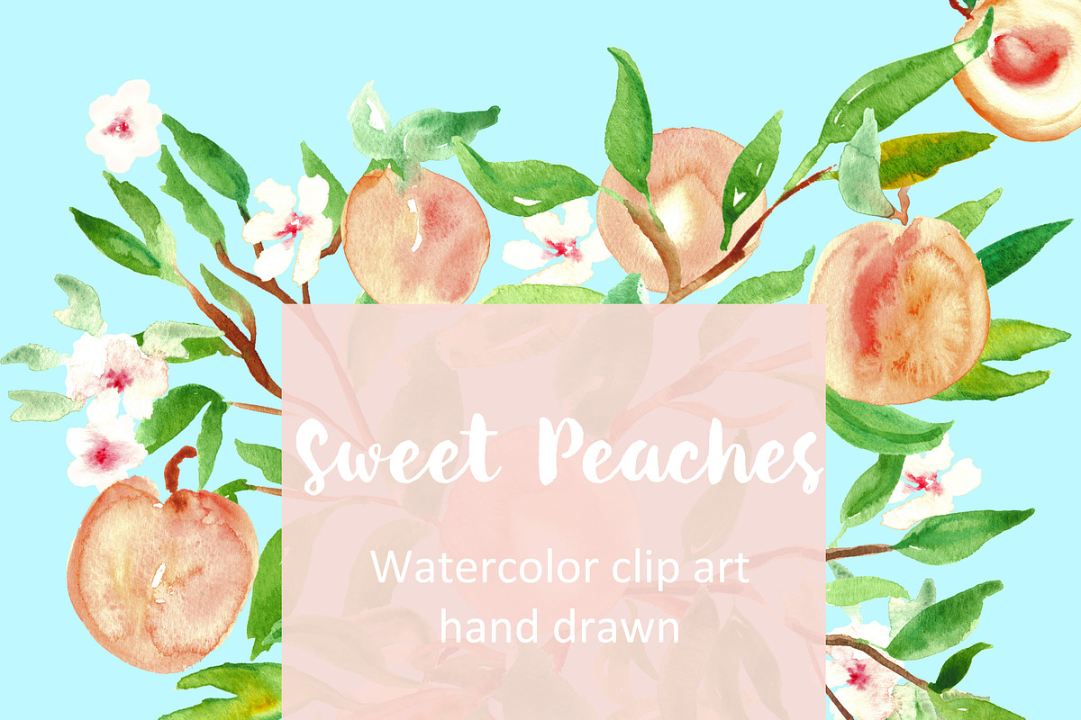 Peach. Watercolor clip art., a Graphic by LABFcreations (Photo 2 of 3)