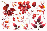 Autumn watercolor illustrations set, an Illustration by Color and Decor (Thumbnail 3 of 5)