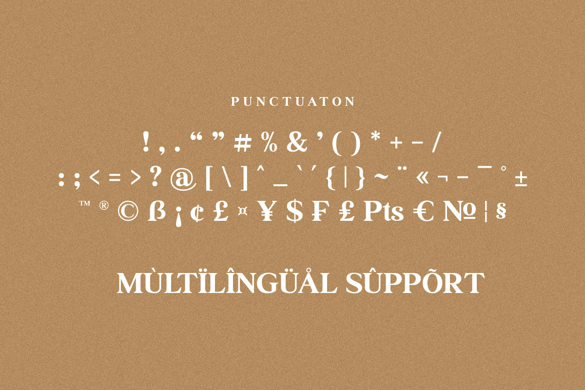 Ransta Modern Serif Font, a Serif Font by Multype Studio (Photo 10 of 12)