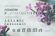 RENDA - Serif, a Serif Font by Olexstudio (Thumbnail 8 of 8)