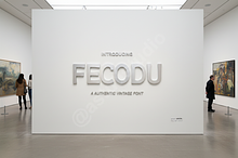 Fecodu – Elegant Luxury Sans Serif F