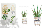 Stay Home & Love Plants Collection, a Decorative Illustration by Cat In Colour (Thumbnail 7 of 10)