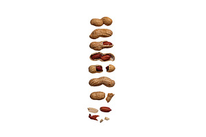 Peanuts with shell isolated on white, a Food & Drink Photo by Yulia Furman